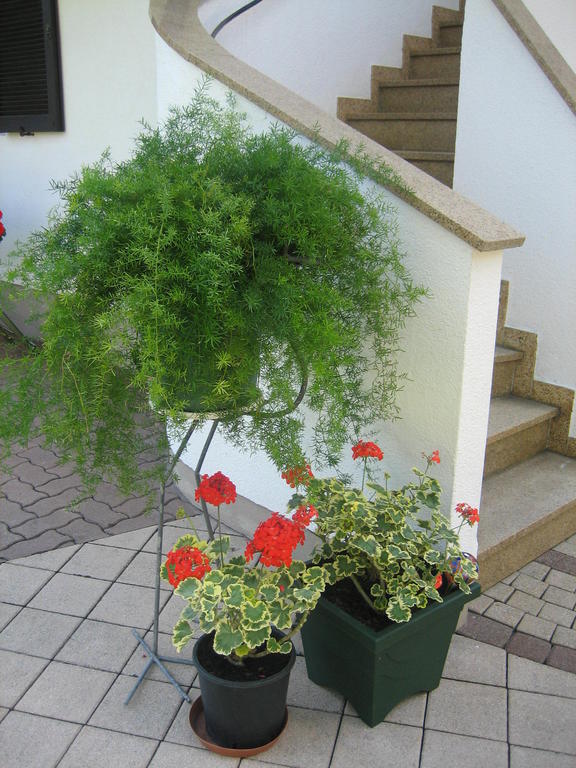 Appartement Weissbacher Lofer Exterior foto
